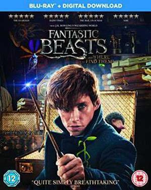 Fantastic Beasts And Where To Find Them Poster Fantastic Beasts And Where To Find Them 2016